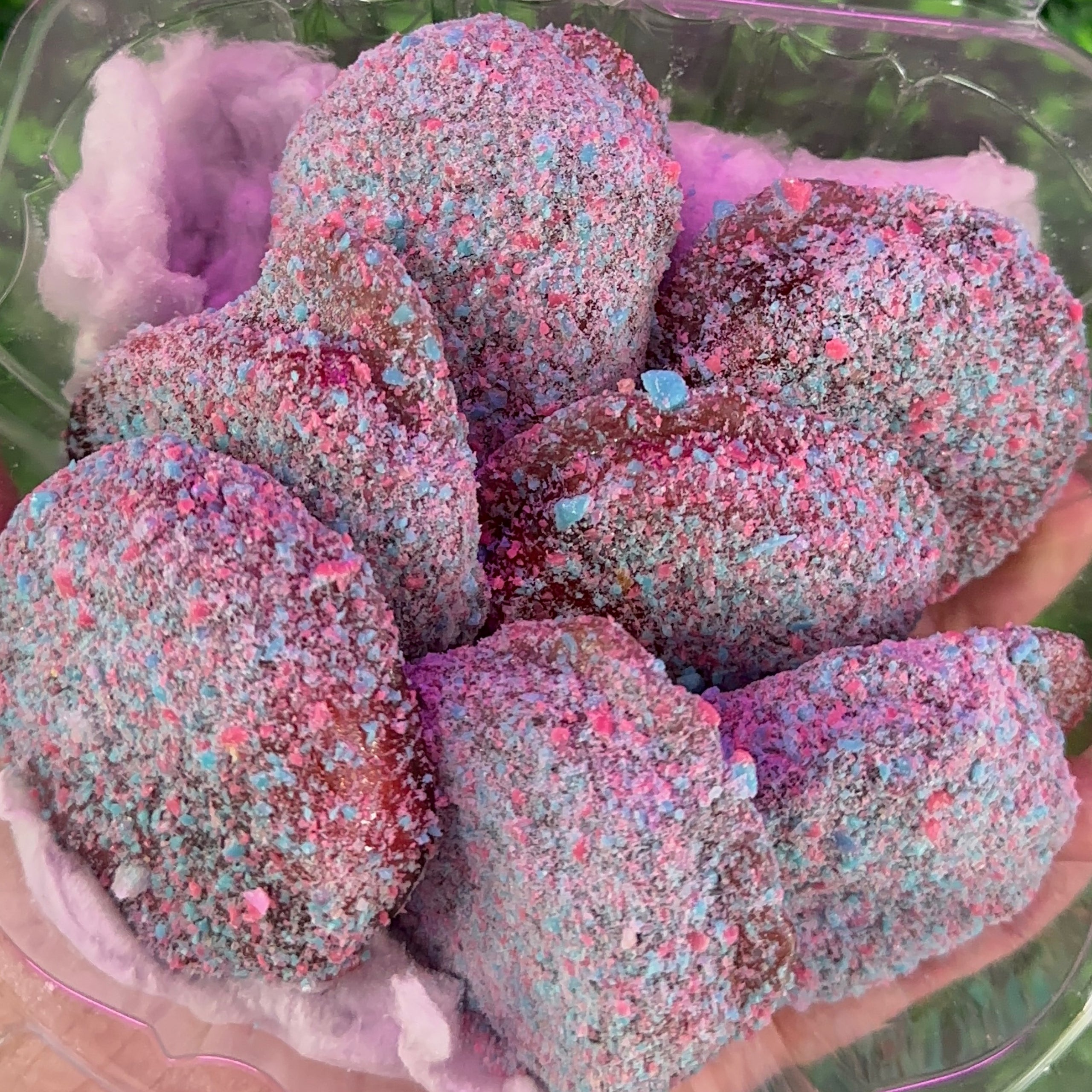 Candy Coated Kiwi Trap Fruit Candy Co.